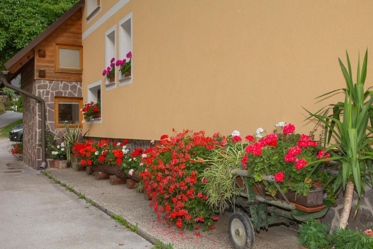 Ferienwohnung Apartma Erlah Bohinj Exterior foto